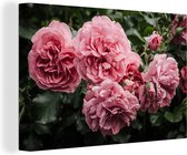Canvas Schilderij Roze - Bloemen - Rozen - 30x20 cm - Wanddecoratie