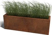 MySteel Cortenstaal plantenbak Texas cm L120 x B30 L Hoogte: 60 cm