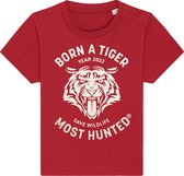 Most Hunted - baby t-shirt - tijger - rood - goud - maat 6-12 maanden
