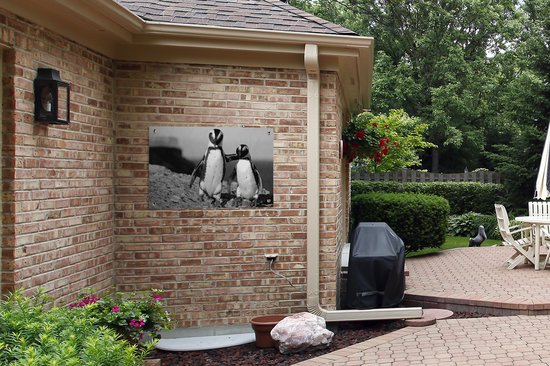 Posters de jardin extérieur Deux pingouins s'enlaçant sur un rocher - noir et blanc - 90x60 cm - Toile jardin - Affiche extérieur