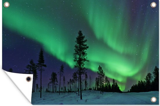 Northern lights above Sweden Garden poster 200x100 cm - Toile de jardin / Toile d'extérieur / Peintures d'extérieur (décoration de jardin) XXL / Groot format!