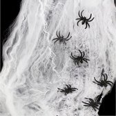 spinnenweb met 5 spinnen - spinnenrag - kindercrea - spinnen - halloween -