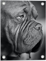 WallClassics - Tuinposter – Bordeaux hond Zwart / Wit - 30x40 cm Foto op Tuinposter  (wanddecoratie voor buiten en binnen)