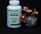 iHealthy IJzer + Aminozuren Complex – 150 capsules