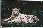 WallClassics - Tuinposter – Witte Tijger in de Jungle - 90x60 cm Foto op Tuinposter  (wanddecoratie voor buiten en binnen)