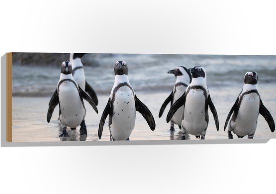 WallClassics - Hout - Waggelende Pinguïns op het Strand - 12 dik - Foto op Hout (Met Ophangsysteem)