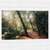 WallClassics - Sticker Muursticker - Chemin Forestier dans une Forêt Tropicale - 75x50 cm Photo sur Sticker Muursticker