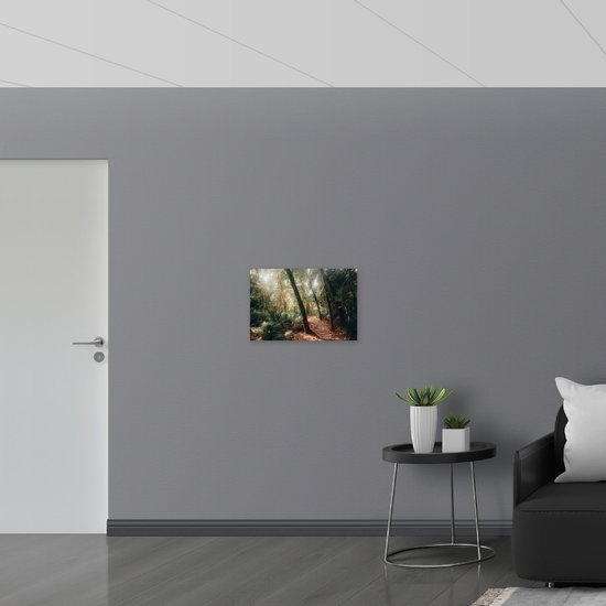 WallClassics - Muursticker - Chemin Forestier dans une Forêt Tropicale - 60x40 cm Photo sur Muursticker