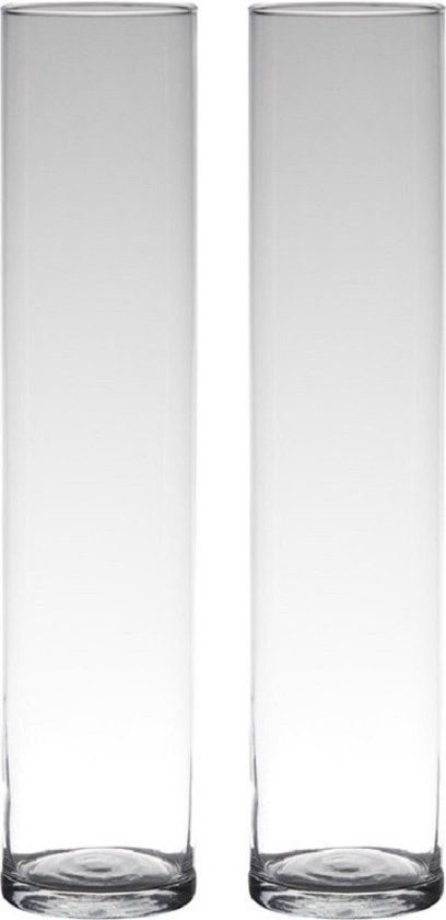 Set van 2x stuks transparante home-basics Cylinder vorm vaas/vazen van glas 50 x 9 cm - Bloemen/takken vaas voor binnen gebruik