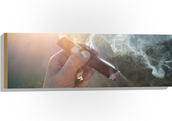 WallClassics - Hout - Hand met Rokende Sigaar - 90x30 cm - 12 mm dik - Foto op Hout (Met Ophangsysteem)