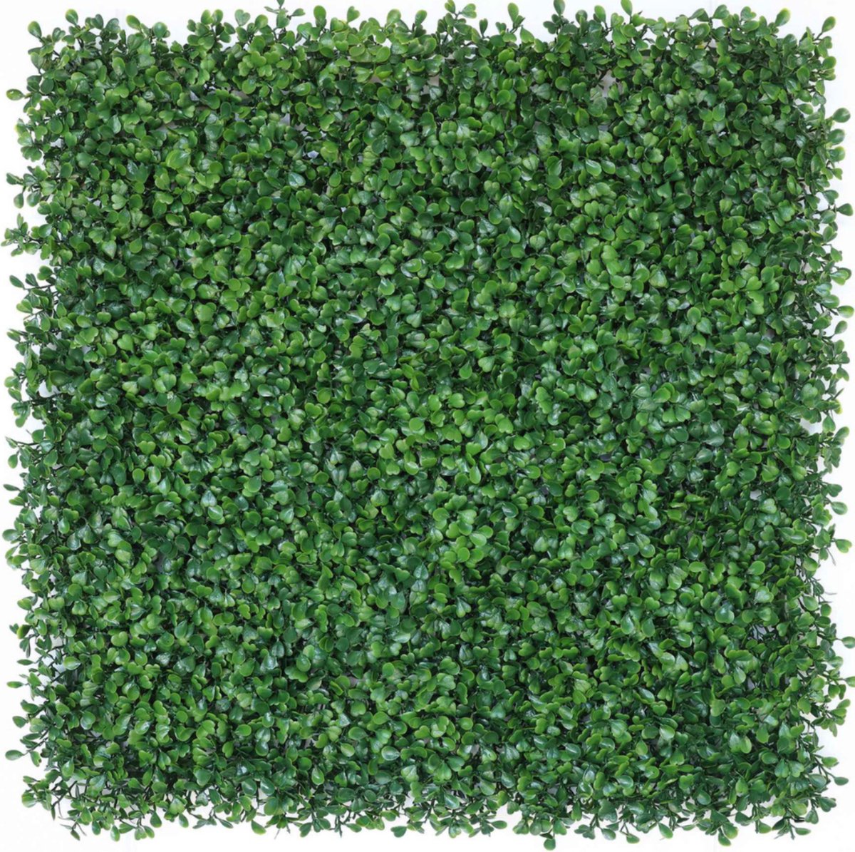 Greenmoods Kunsthagen - Kunsthaag UV - Buxus - Groen - 50 x 50 cm
