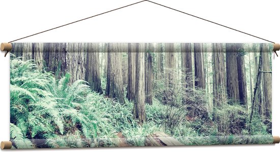 WallClassics - Affiche Textile - Tronc d'Arbre dans la Forêt - 90x30 cm Photo sur Textile