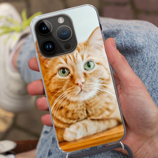 Étui de téléphone adapté à Apple Iphone 14 Pro - Chat - Bois - Étui - Siliconen - Bandoulière - Coque arrière avec cordon - Étui de téléphone avec cordon - Étui avec corde