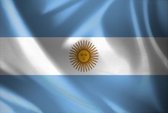 Partychimp Vlag Argentijnse Vlag Argentinië - 90x150 cm - Polyester - Blauw/Wit