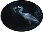 WallClassics - PVC Schuimplaat Ovaal - Blauwe Reiger heeft een Vis Gevangen - 68x51 cm Foto op Ovaal  (Met Ophangsysteem)