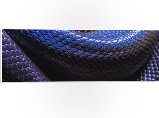 WallClassics - PVC Schuimplaat- Blauw Paarse Slangenhuid - 60x20 cm Foto op PVC Schuimplaat