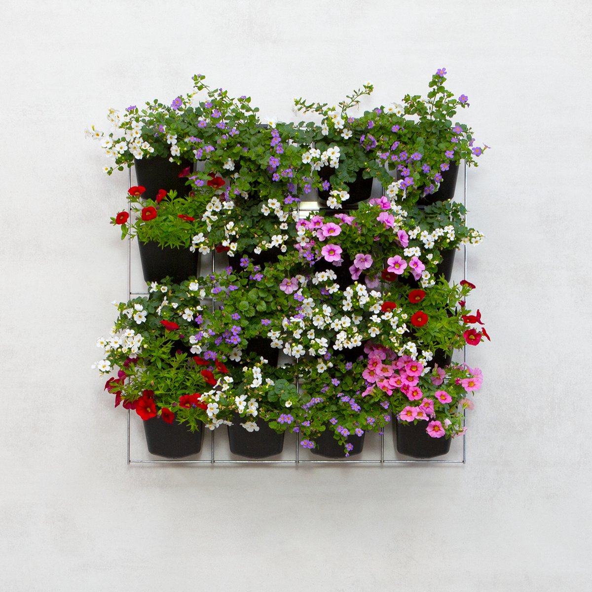Mijn Verticale Tuin - Voor Buiten - Compleet Startpakket (Medium) 60cm x 60cm - 16 Bakjes - Plantenbak aan de muur - Groene wand - Groene muur - Moestuin - Balkonbak - Plantenmuur