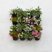 Mon Jardin Vertical - Pour l'extérieur - Pack de démarrage complet (Medium) 60cm x 60cm - 16 Bacs - Jardinière murale - Mur végétal - Mur végétal - Potager - Jardinière balcon - Mur végétal