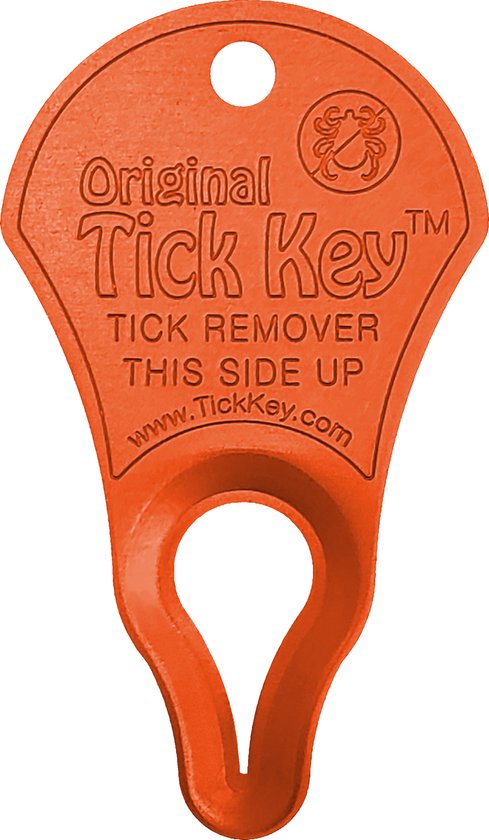 Tick