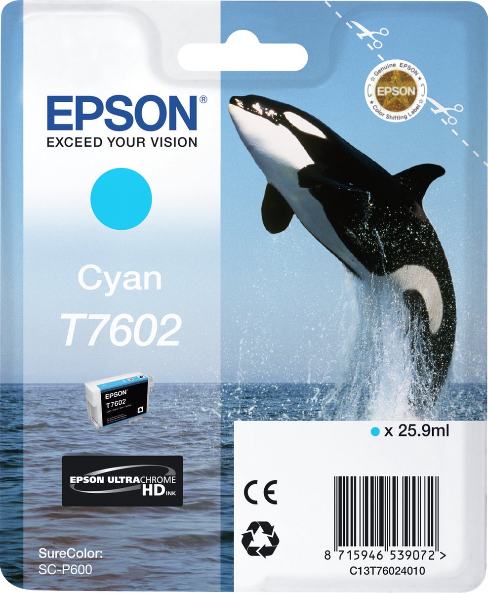 T7602 (C13T76024010)