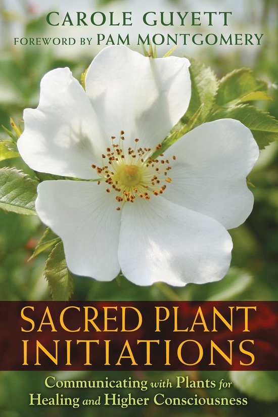 ISBN Sacred Plant Initiations, Anglais, Livre de poche, 328 pages