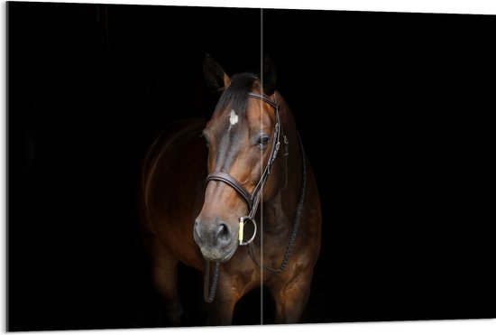 WallClassics - Acrylglas - Bruin Paard met Zwarte Achtergrond - 120x80 cm Foto op Acrylglas (Wanddecoratie op Acrylaat)