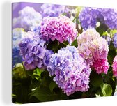 Canvas schilderij - Hortensia - Bloemen - Planten - Natuur - 40x30 cm - Muurdecoratie - Canvas doek