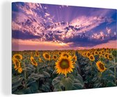 Canvas - Schilderij bloemen - Zonnebloem - Zon - Wolken - Avond - Wanddecoratie - Foto op canvas - Canvasdoek - 60x40 cm - Woonkamer