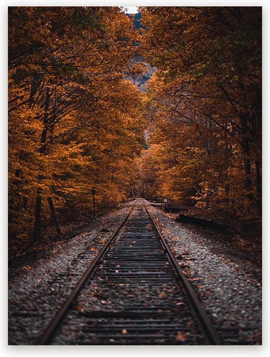 Canvas Schilderij Railroad