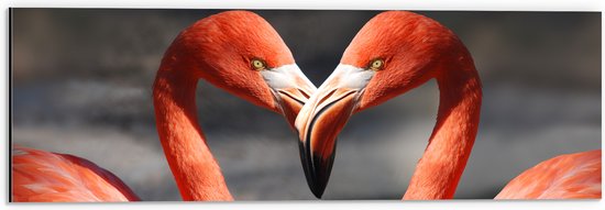 WallClassics - Dibond - Verliefde Flamingo's  - 60x20 cm Foto op Aluminium (Met Ophangsysteem)