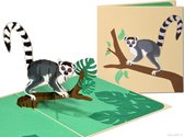 Cartes pop-up Popcards - Lémur catta, Câlin, Jungle Madagascar, Roi Julien, Lémurien, Anniversaire Carte pop-up Félicitations Kinder Carte de voeux 3D