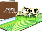 Cartes pop-up Cartes pop-up – Grazing Dutch Cows CO2 Émissions d'azote Crise d'azote Anniversaire Félicitations Carte pop-up Carte de vœux 3D