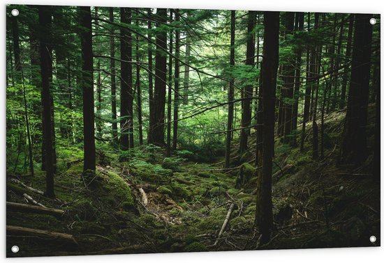WallClassics - Tuinposter – Volgroeid Bos - 120x80 cm Foto op Tuinposter  (wanddecoratie voor buiten en binnen)