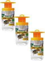 Piège à guêpes Bsi Professional - Contrôle des insectes - 3 x chaque