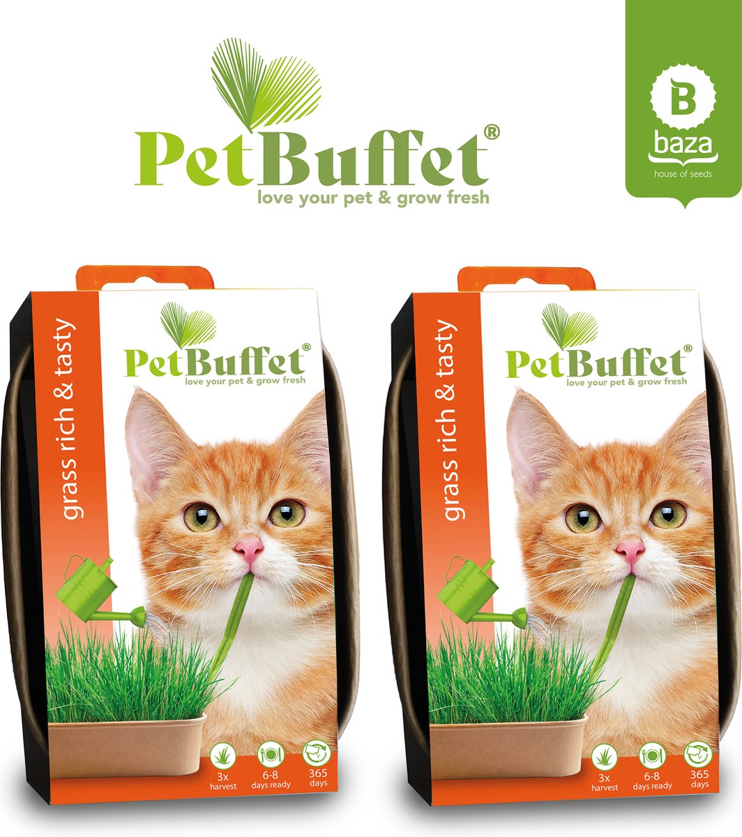 Pet-Buffet herbe riche et savoureuse 6x croissance herbe pour votre chat