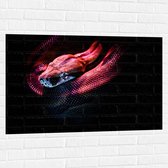 WallClassics - Muursticker - Rode Slang met Zwarte Achtergrond - 105x70 cm Foto op Muursticker