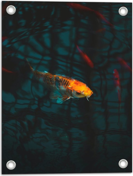 WallClassics - Tuinposter – Oranje Koi in het Water - 30x40 cm Foto op Tuinposter  (wanddecoratie voor buiten en binnen)