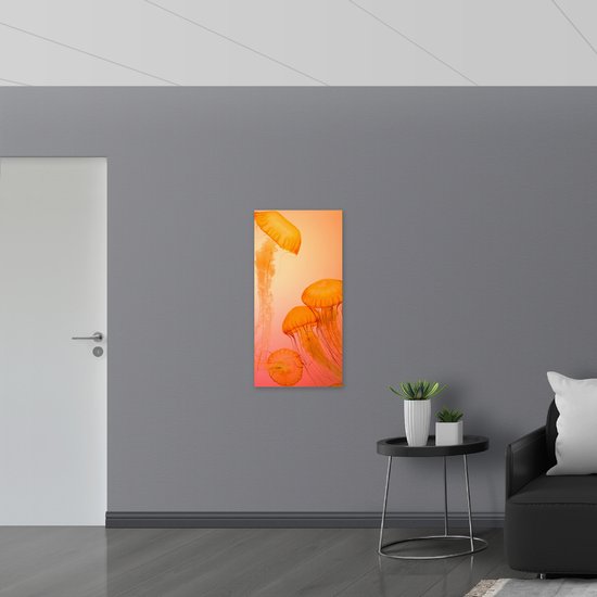 WallClassics - Plaque Mousse PVC - Méduse Oranje - Photo 50x100 cm sur Plaque Mousse PVC (Avec Système d'accrochage)