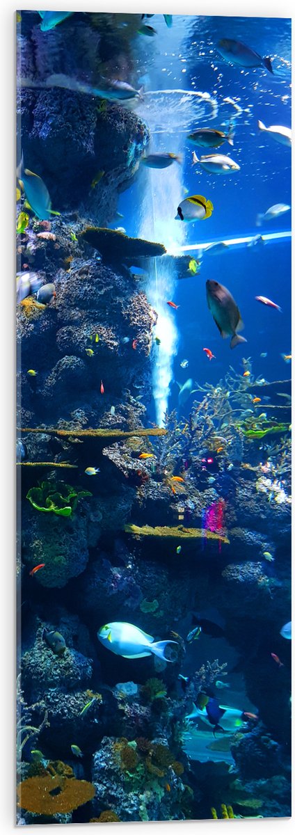 Acrylglas - Prachtig Aquarium met mooie Vissen - 30x90 cm Foto op Acrylglas (Met Ophangsysteem)