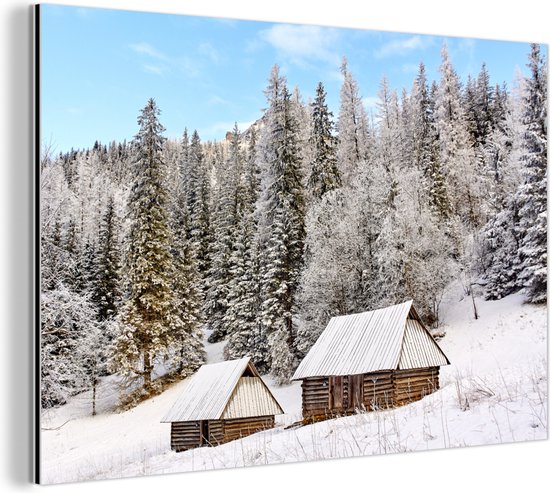 Cabanes en bois et pins dans le parc national des Tatras en Pologne Aluminium 30x20 cm - petit - Tirage photo sur aluminium (décoration murale en métal)