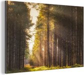 Wanddecoratie Metaal - Aluminium Schilderij Industrieel - Boom - Gras - Zon - 120x80 cm - Dibond - Foto op aluminium - Industriële muurdecoratie - Voor de woonkamer/slaapkamer