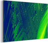 Wanddecoratie Metaal - Aluminium Schilderij Industrieel - Botanisch palmblad in diverse kleuren - 60x40 cm - Dibond - Foto op aluminium - Industriële muurdecoratie - Voor de woonkamer/slaapkamer