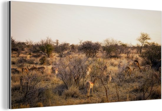 Wanddecoratie Metaal - Aluminium Schilderij - Landschap van het Krugerpark in Zuid-Afrika - Dibond