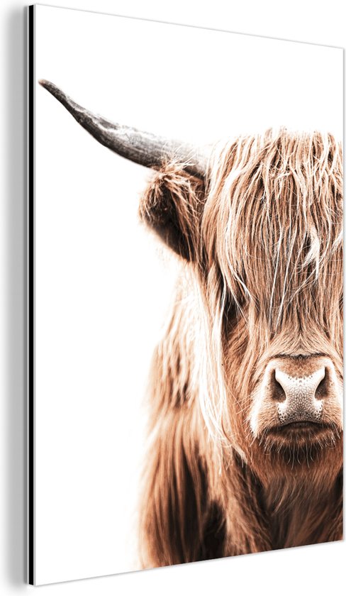 Décoration murale Métal - Peinture Aluminium Industriel - Highlander Ecossais - Vache - Wit - 30x40 cm - Dibond - Photo sur aluminium - Décoration murale industrielle - Pour le salon/chambre