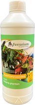 Ferrarium groene plantenvoeding 0,5 L - Gemaakt door sociale werkplaats - 100% Vegan - 100% Gemaakt in Nederland - plantenvoeding voor groene planten - groene planten voeding - voeding voor groene planten - gele plekken in bladeren