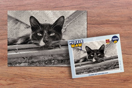 Puzzle Gros plan d'un chat - Puzzle - Puzzle 1000 pièces adultes - Sinterklaas cadeaux - Sinterklaas pour les grands enfants