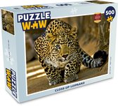 Puzzel Luipaard 500 stukjes
