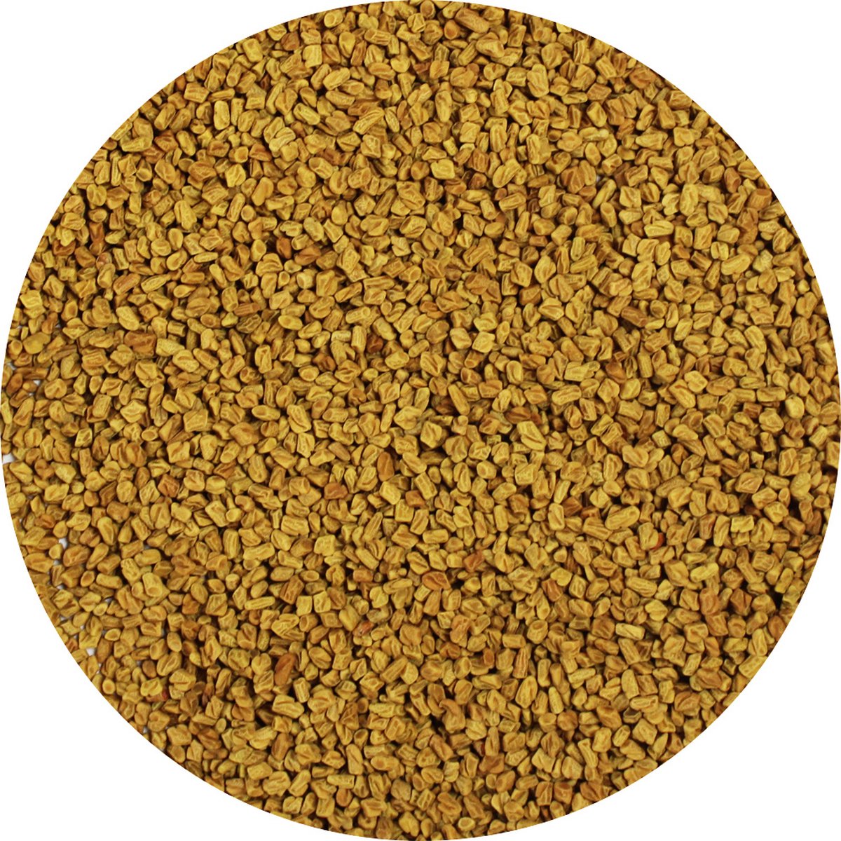 Goedkoopste Van Beekum Specerijen - Foenegriek / Fenegriek Heel - 20 KG - Zak (bulk verpakking