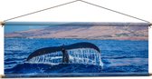 WallClassics - Textielposter - Walvis Staart in de Zee - 120x40 cm Foto op Textiel