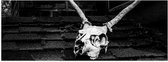 WallClassics - Poster Glossy – Cerf Crâne Zwart / Wit - 90x30 cm Photo sur Papier Poster avec Finition Brillante